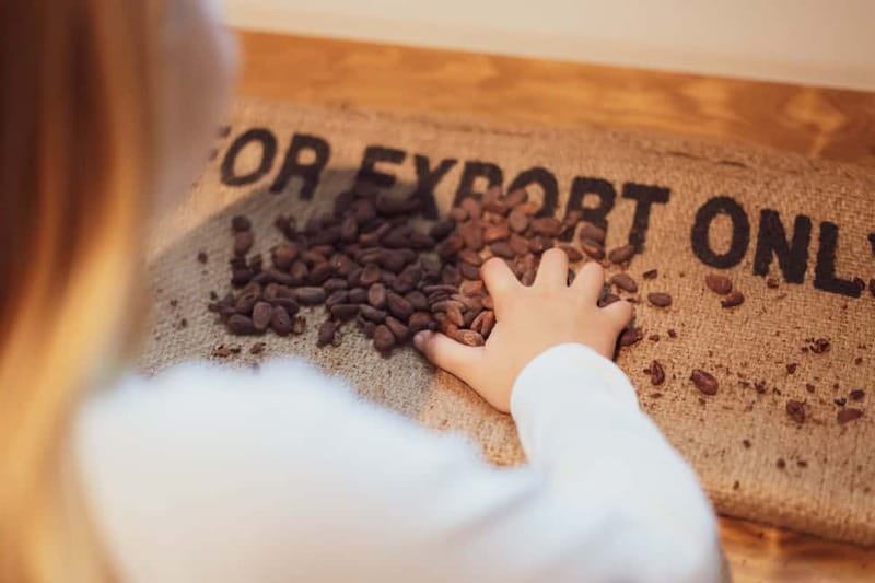 Porto: Entry Ticket at WOW The Chocolate Experience by 20|20 - What the WOW The Chocolate Experience ticket actually includes