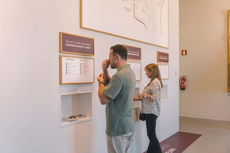 Porto: Entry Ticket at WOW - The Wine Experience Museum - Quick hits before you go to WOW in Porto