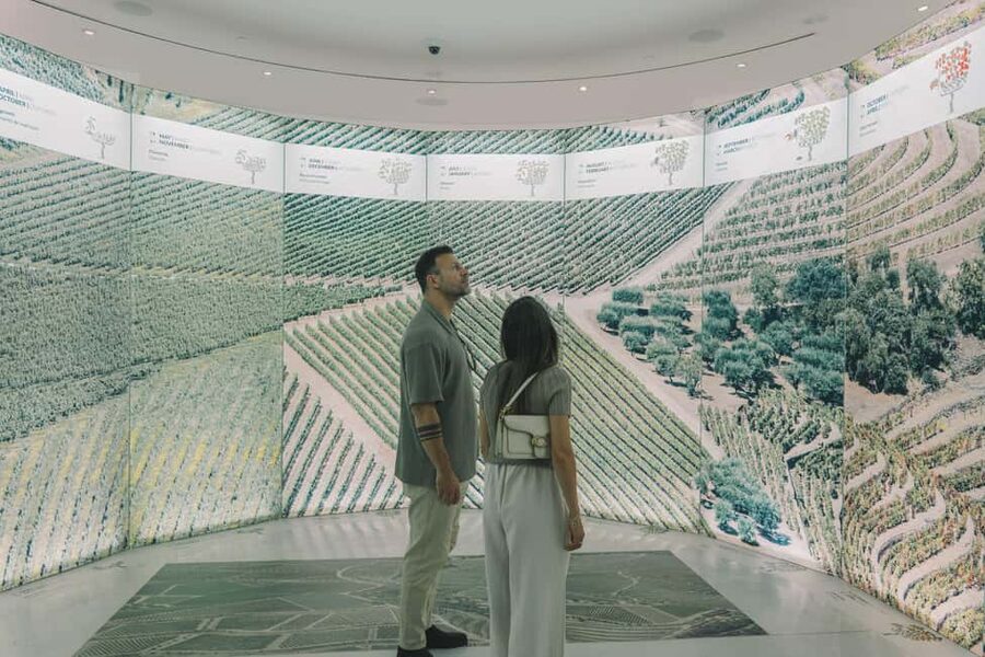 Porto: Entry Ticket at WOW - The Wine Experience Museum - Who will enjoy WOW most, and who might find it too focused on production