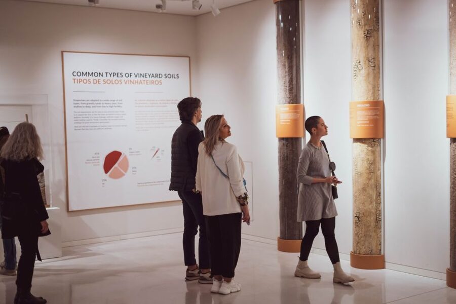 Porto: Entry Ticket at WOW - The Wine Experience Museum - Value check: is $20 worth it in Porto?