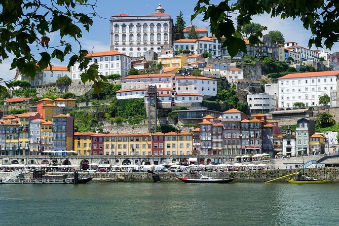 Porto Essential Walking Tour - Livraria Lello and the Clerigos Tower Area, With Tickets to Plan For