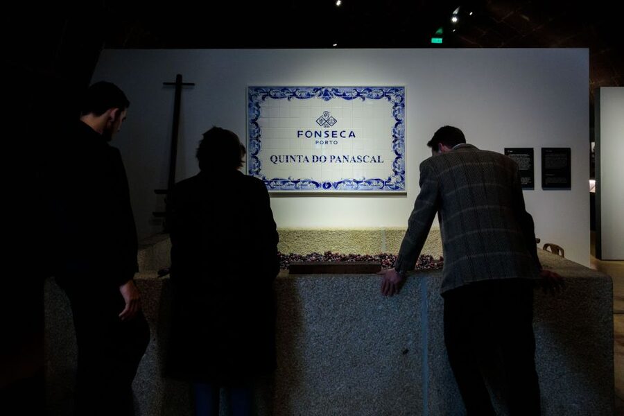 Porto: Fonseca Cellar Tour & Fado Show with Optional Dinner - Price and value: Is $29 worth it?