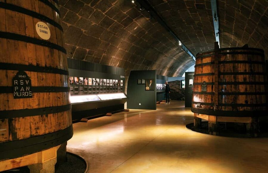 Porto: Fonseca Cellar Tour & WOW Museum Pack - Should you book the Porto Fonseca Cellar Tour & WOW Museum Pack?