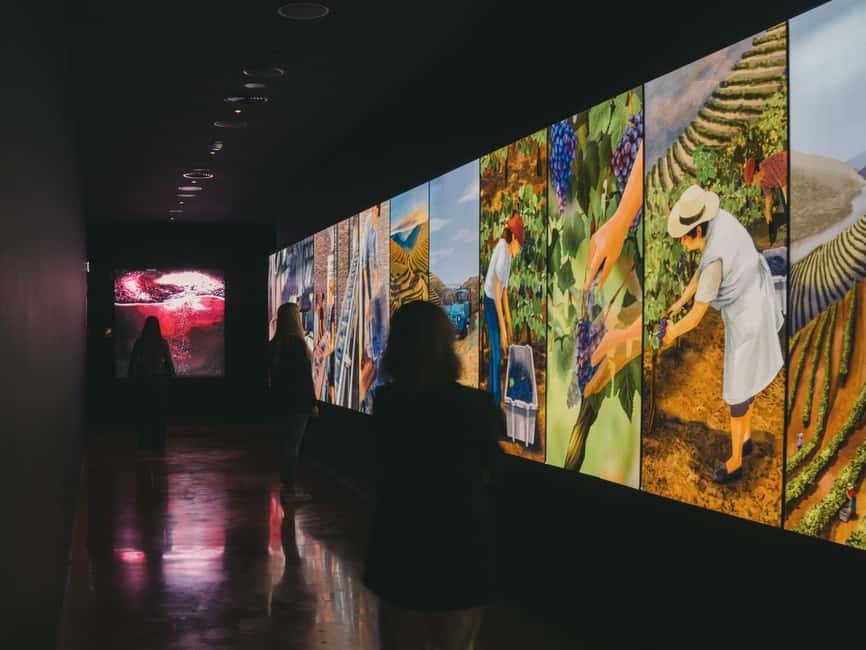 Porto: Fonseca Wine Cellar & WOW Wine Experience - Ordering your stops: museum first or cellars first