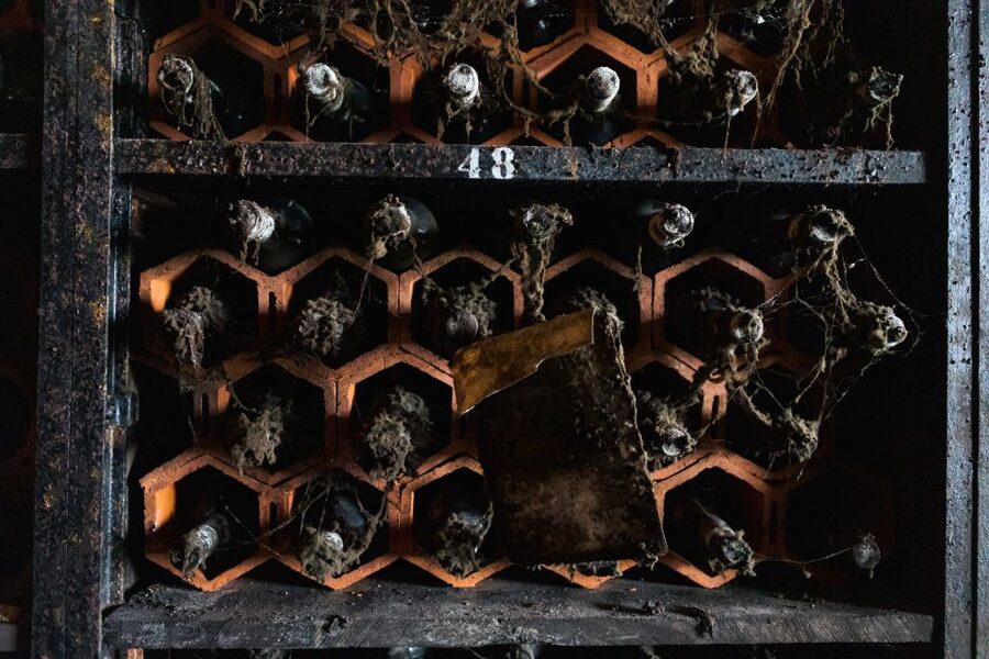 Porto: Food & Wine Tasting Walking Tour with Port Wine Cave - Three Port tastings in the oldest Portuguese cellar
