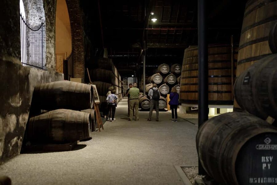 Porto: Graham's Port Lodge Tour and Port Essentials Tasting - Who Should Book This Port Lodge Tour?