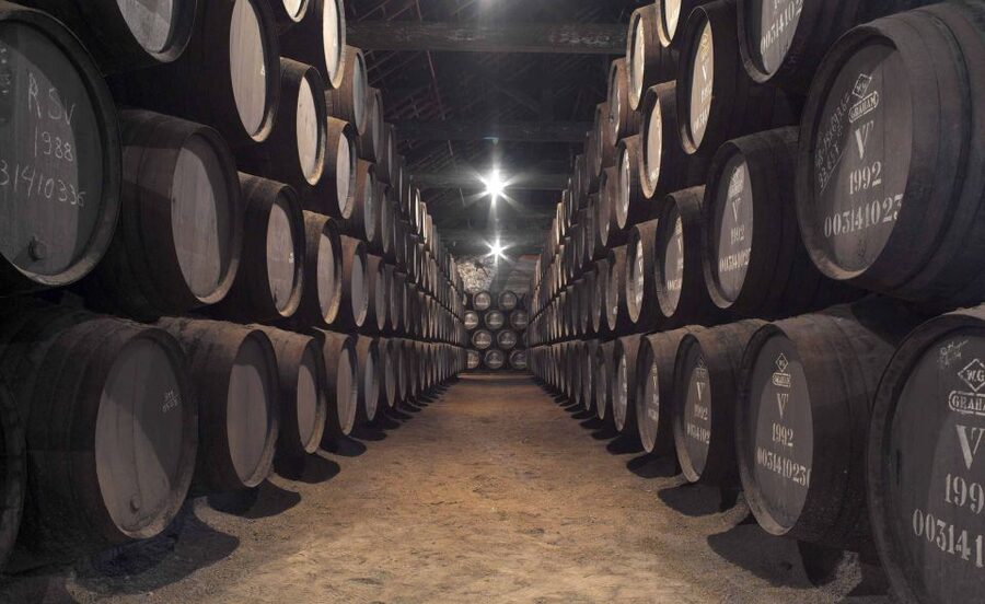 Porto: Graham's Port Lodge Tour with Premium Wine Tastings - Rua do Agro 141 and the Walk Up the Ridge