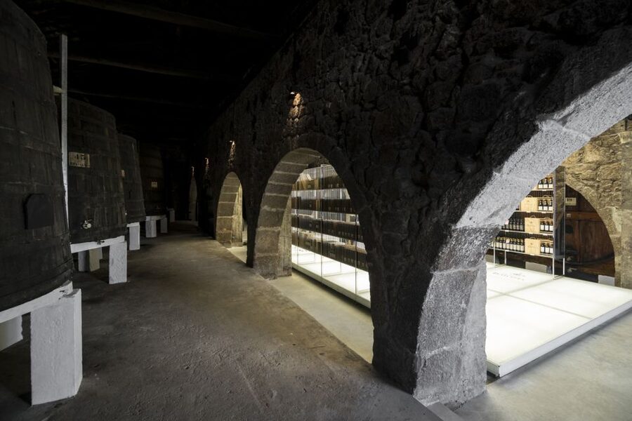 Porto: Guided City Walking Tour & Port Wine Cellar - The Topics Your Guide Brings Up Along the Way