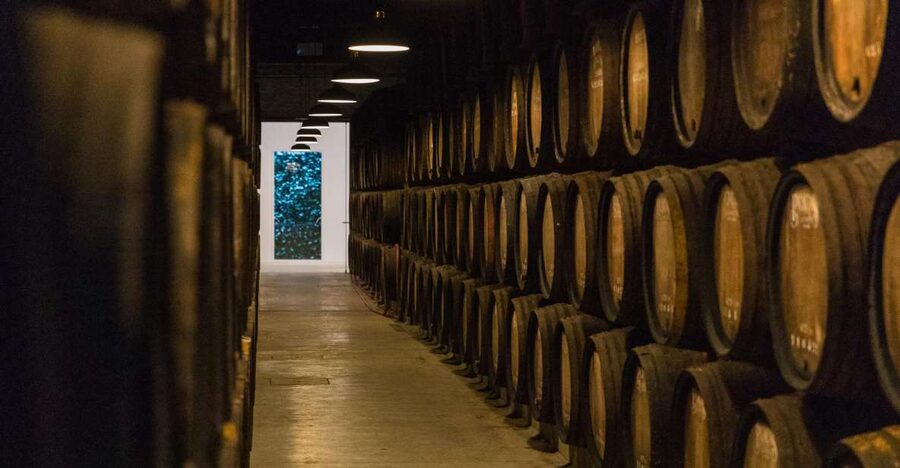 Porto: Guided Tour and Tasting of 3 Port Wines at Poças - Porto’s Poças Tour, from the Aging Cellar to Your Tasting Flight