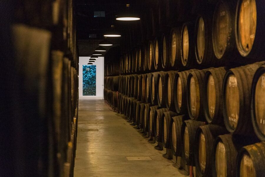 Porto: Guided Tour and Tasting of 3 Port Wines at Poças - The tasting room: comparing three Port wines like a pro