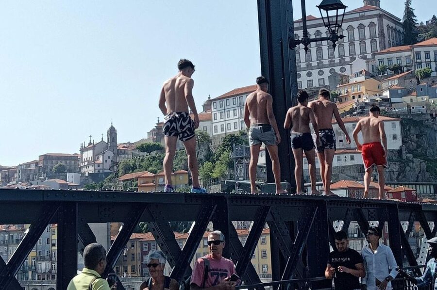 Porto: Guided Walking Tour - Clérigos Tower and the City Hall Area: Big Views, Short Stops