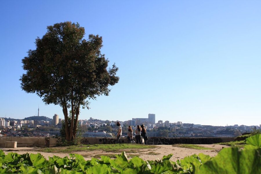 Porto: Half-Day Jewish Tour - Key things you will get from this Porto Jewish tour