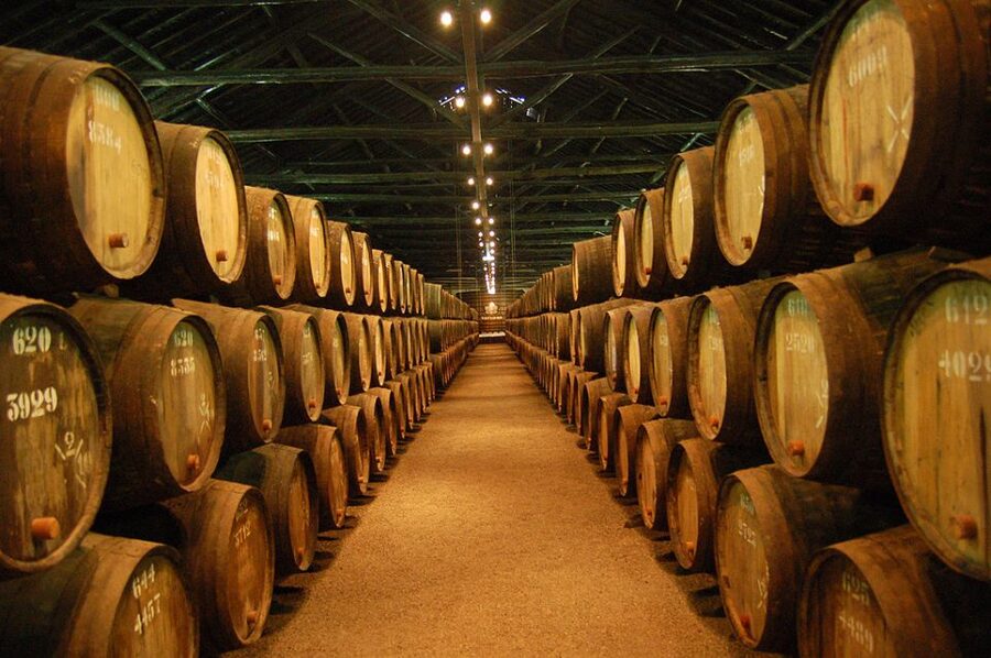 Porto: Half-Day Small Group City Tour with port wine tasting - Price, included perks, and where the extra costs can creep in
