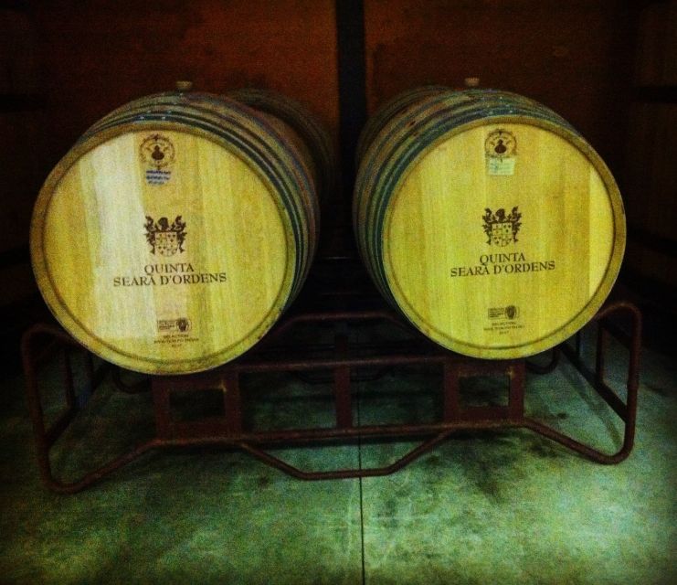 Porto: Half-Day Small Group City Tour with port wine tasting - Why this half-day Porto route is such a smart fit