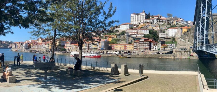 Porto: Half-Day Small Group City Tour with port wine tasting - Livraria Lello and Irmão: photo stop plus a real half-hour to enjoy it