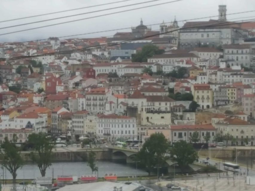 Porto: Half-Day Small Group City Tour with port wine tasting - São Bento Station and Porto Cathedral: built-in breaks inside the big sights