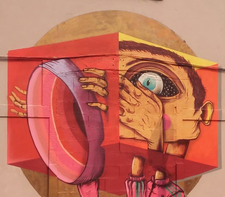 Porto: Half-Day Street Art Tour - What to Expect on the Ground: Walking, Weather, and How to Prep