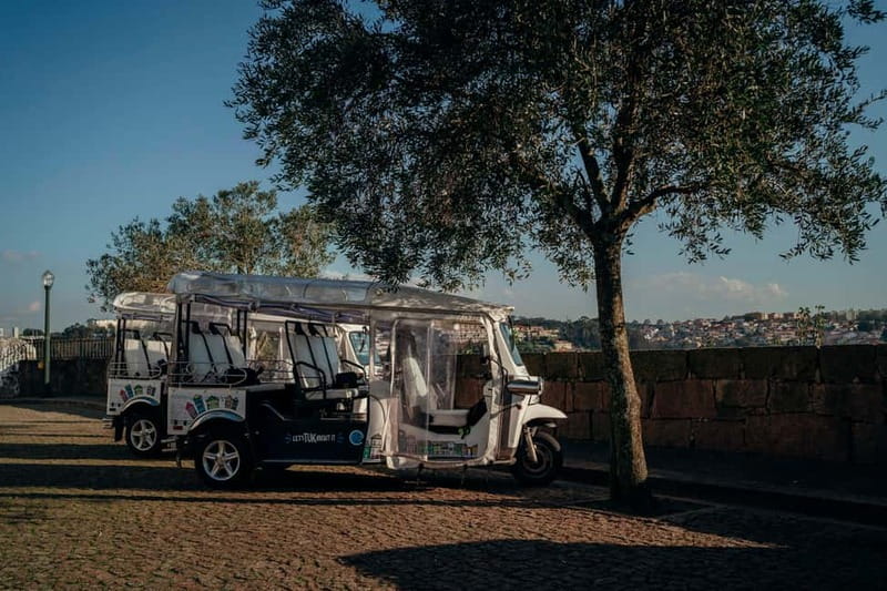 Porto Half Day Tuk Tuk Tour Clérigos, Seaside and Viewpoints - Ponte D. Luís, Vila Nova de Gaia, and the bridge viewpoints you cannot fake