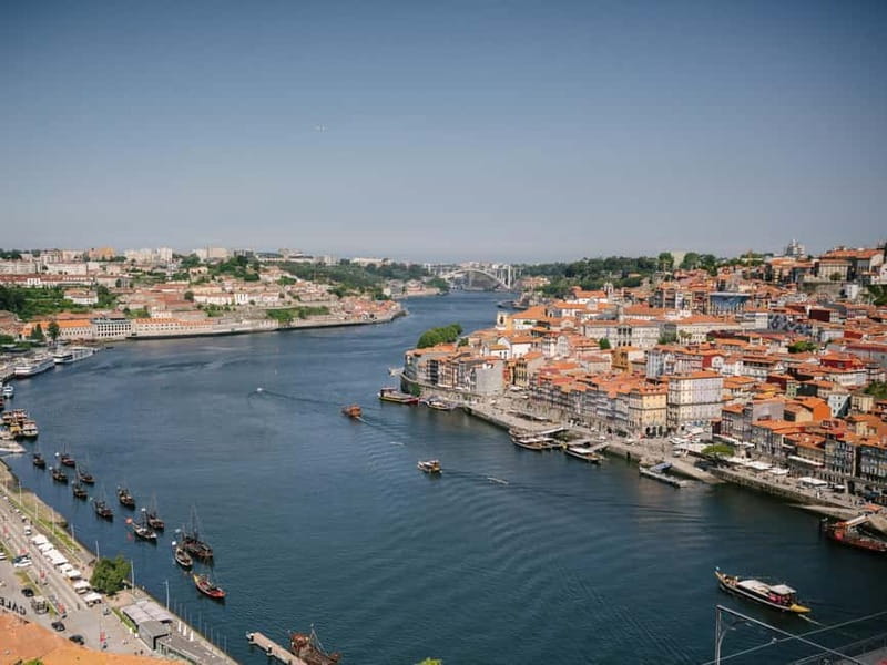 Porto: Highlights in 3 Hours E-Bike Tour - The bikes, the pace, and how Porto hills feel on electric power