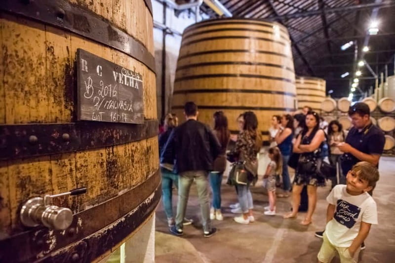 Porto: Magic Train Tour and Port Wine Cellar with Tastings - Key points before you go