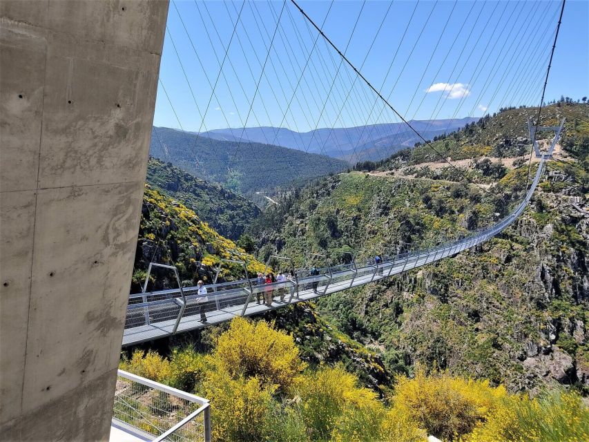 Porto: Paiva Walkways and Suspension Bridge Hike with Lunch - Pickup and van details, small group means less chaos