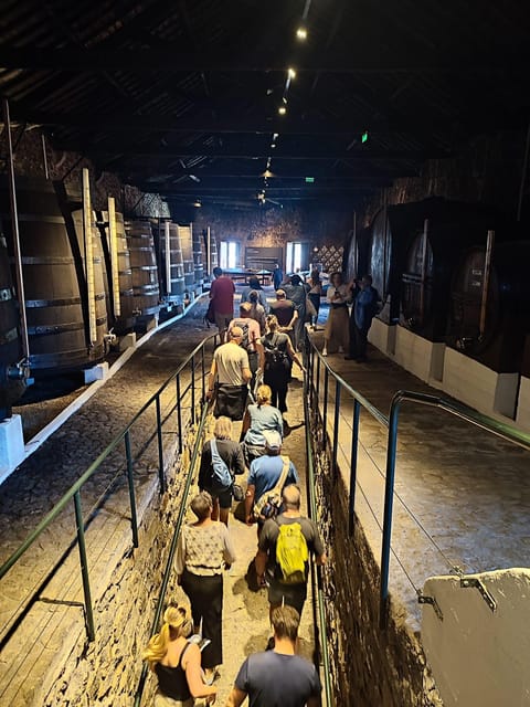 Porto: Port and Douro Wine Walking Tour with 9 Tastings - Stop 1, Vasques de Carvalho: Start With the Port Foundations