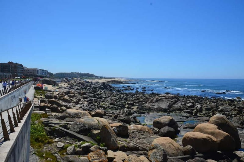 Porto: Porto Bike Atlantic Route - Safety, comfort, and riding through rain or disruptions