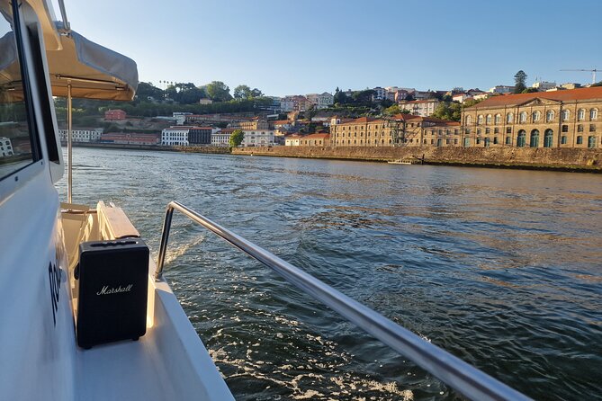 Porto: Private 6 bridges tour, Douro river with sunset option - Arrábida Bridge first: that massive concrete-arch detail you will remember