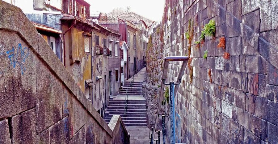Porto: Private Bike Tour with a Local Guide - Price and time: why $57 for 3 hours can be a smart buy