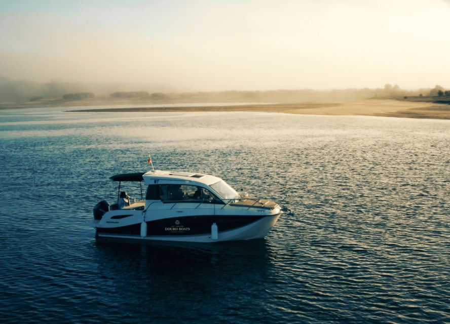 Porto: Private Boat Tour in Douro River - Sailing Past Gaia’s Wine Cellar Fronts: Where the City Meets the River