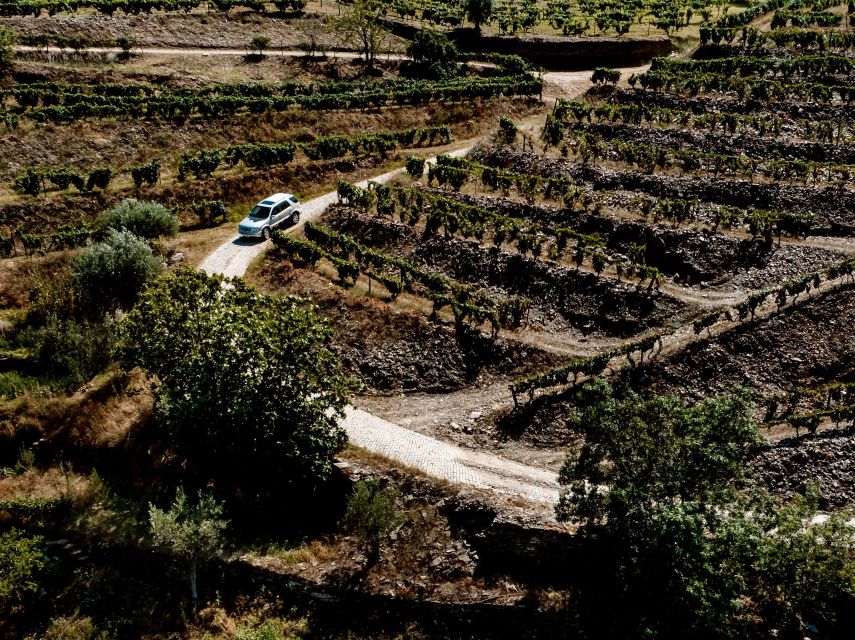 Porto: Private Douro Valley 4x4 Tour with Lunch - Vineyard-trail viewpoints after lunch: the photo stops feel worth it