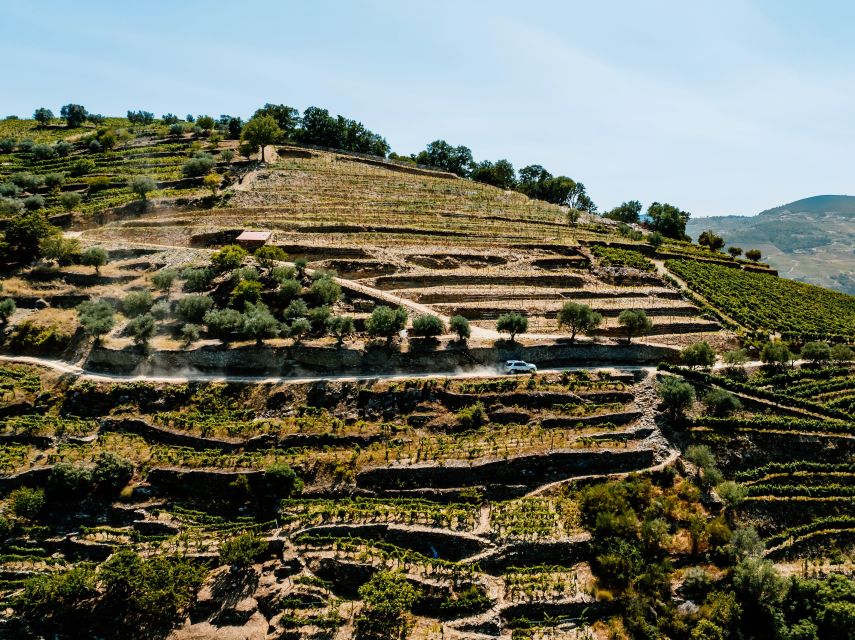 Porto: Private Douro Valley 4x4 Tour with Lunch - Price and value: is $294 per person worth it?
