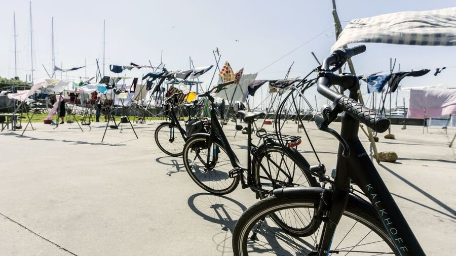 Porto Private E-Bike Tour: Douro River, Parks & Beaches - Arrábida Bridge views and the Monumento aos Tripeiros moment