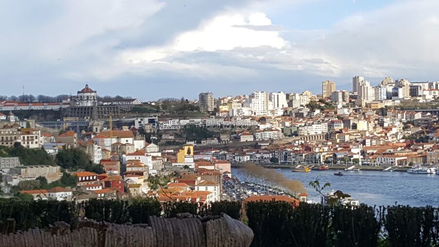 Porto: Private Half-Day as a Local Experience - Price and Value for a Group Up to Four