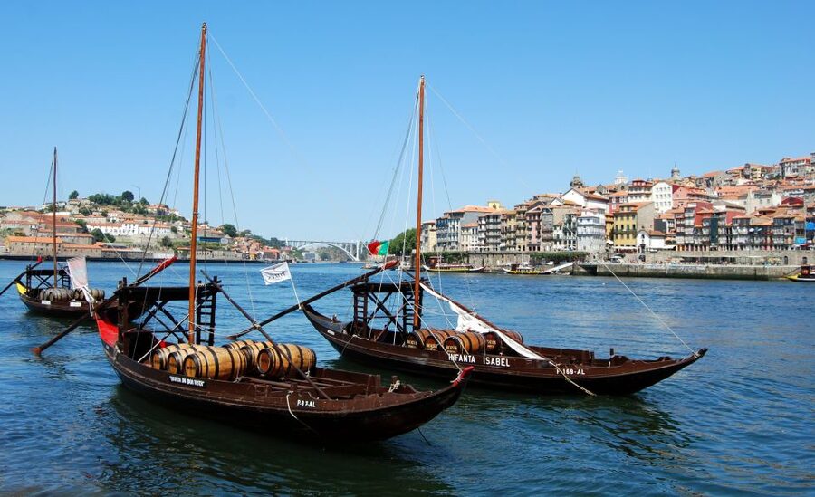Porto Private Half Day Walking Tour: Cruise & Wine Tasting - Vila Nova de Gaia wine cellar tasting: the Port wine moment