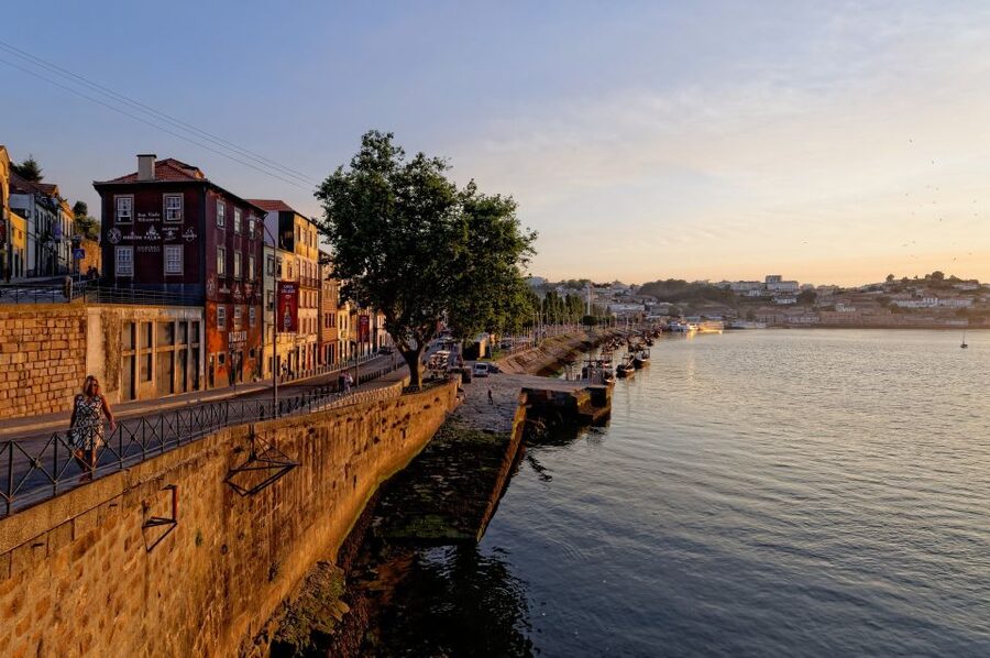 Porto Private Half Day Walking Tour: Cruise & Wine Tasting - Getting started: Lions’ Fountain meeting point and the walk begins