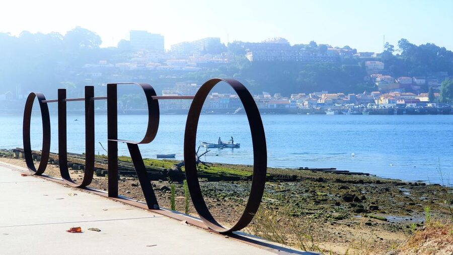 Porto: Private Tuk-Tuk Tour with Short Walks and Wine - Lion’s Square, Clérigos, and the Streets That Feel Like a Backdrop