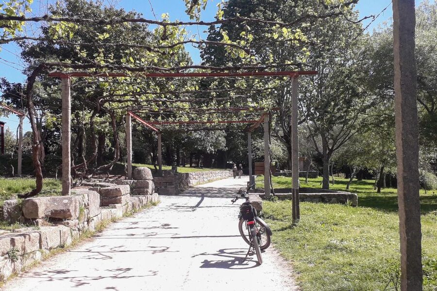 Porto Riverbank Tour on an e-bike: Atlantic Coast, Gardens - Jardim do Passeio Alegre, Foz do Douro, and the Atlantic “change of mood”