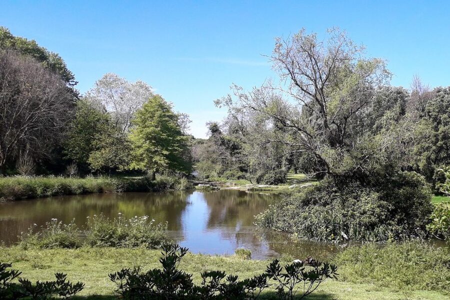 Porto Riverbank Tour on an e-bike: Atlantic Coast, Gardens - Matosinhos Beach and Parque da Cidade do Porto, for the “walk-off” feeling