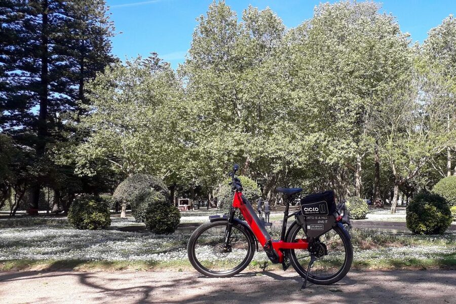 Porto Riverbank Tour on an e-bike: Atlantic Coast, Gardens - Price and value at $57 per person