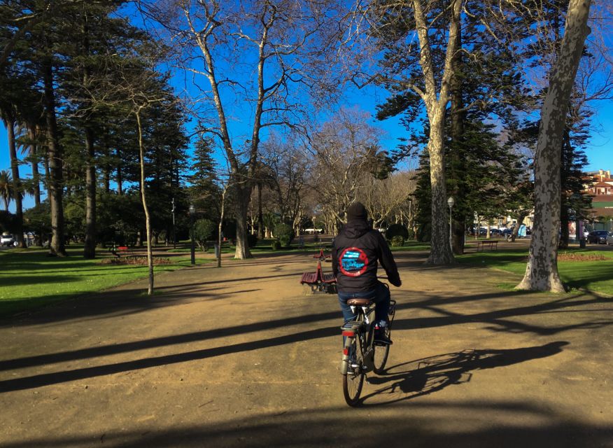 Porto: Riverside Panoramic E-Bike Tour - Back to R. de Alexandre Herculano 251, grab your stuff and plan the rest of your day
