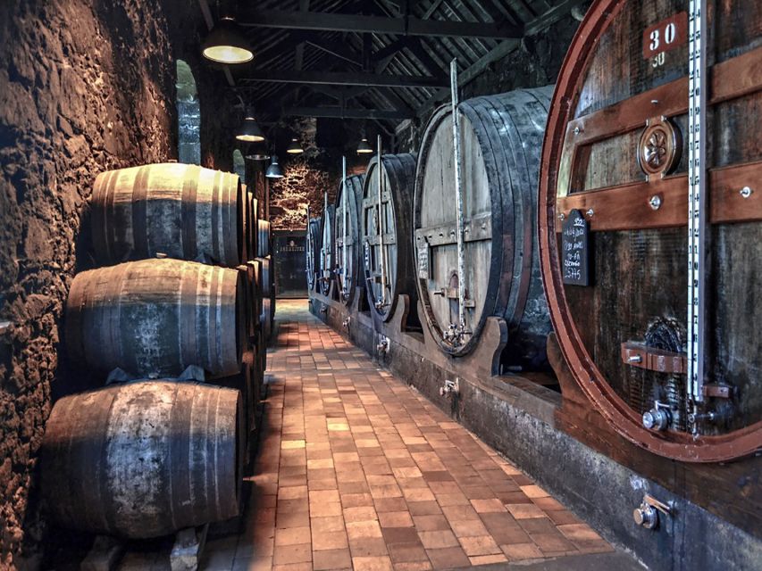 Porto: Self-Guided Bike and Boat Tour with Port Wine Tasting - Port wine cellar tasting: how to make it work with your schedule