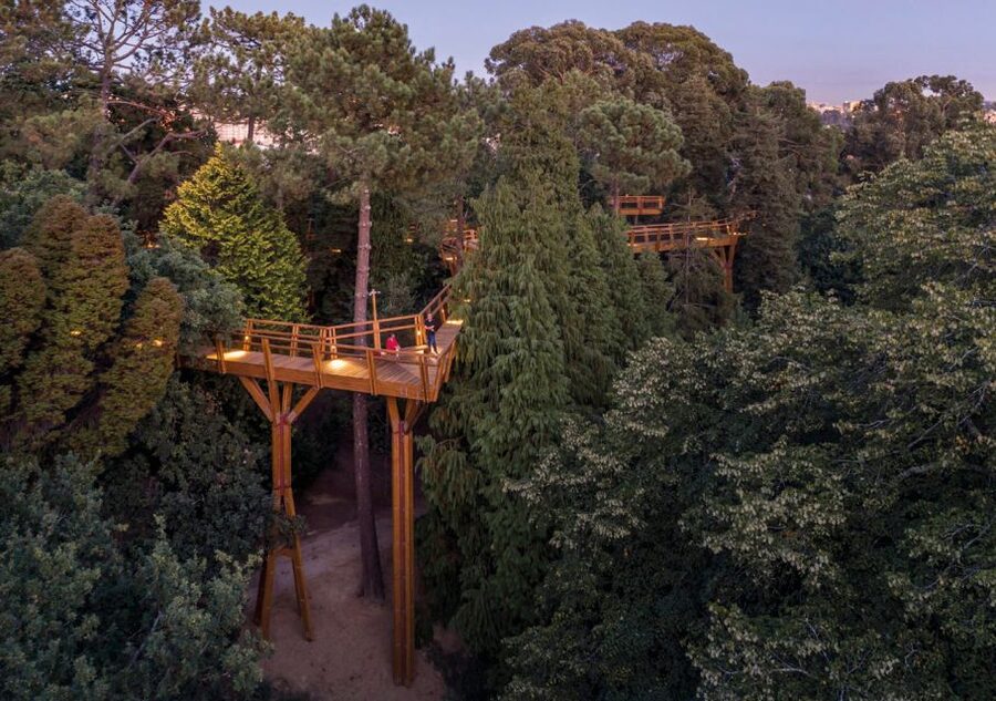 Porto: Serralves Park Entry Ticket - Arriving and Getting Your Bearings in a Park That Feels Bigger Than Porto