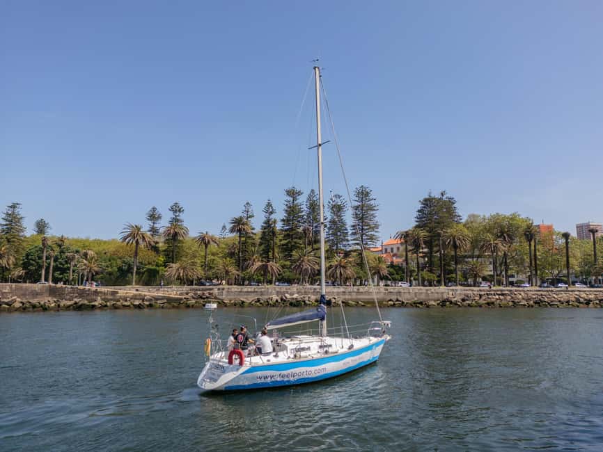 Porto: Shared Douro River Sunset Cruise with Welcome Drink - Should you book this Porto sunset cruise?