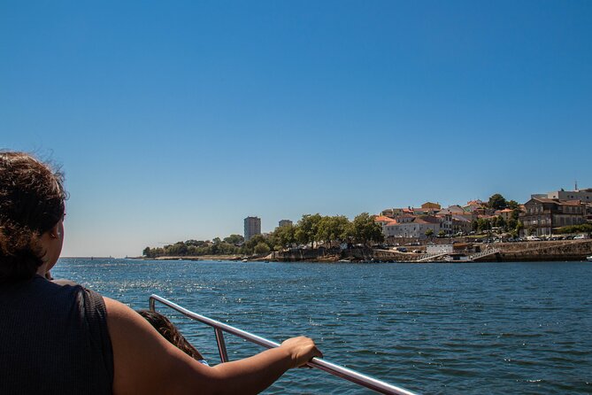 Porto Six Bridges Panoramic Cruise on the Douro River - Onboard Comfort and the Real Story on Commentary