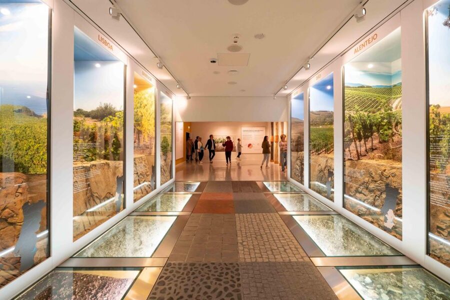 Porto: Taylor’s Port Cellar Tour & WOW Museum Pack - WOW first: how to choose the museum without wasting time