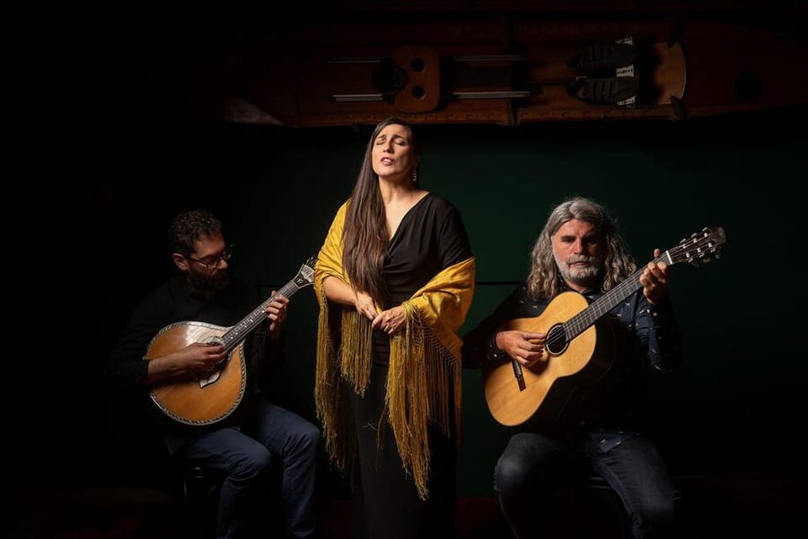 Porto: The Authentic Fado Concert with Port Wine - Who should book this fado and port concert, and who might prefer something else