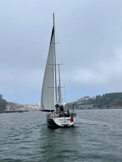 Porto: The Best Douro Boat Tour - From Arrábida Bridge to Palácio de Cristal gardens: the riverfront layers you can actually see