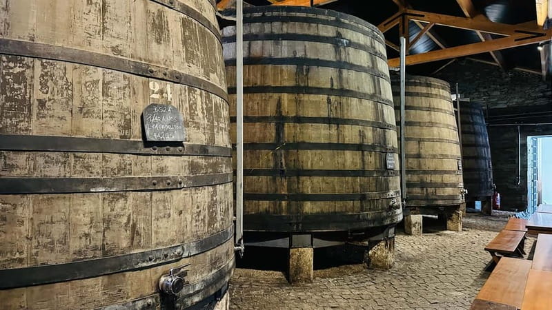 Porto to Gaia Experience: City Walk and Wine Cellars - Key things I’d circle before you book