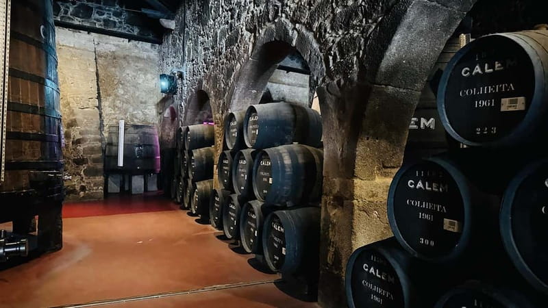Porto to Gaia Experience: City Walk and Wine Cellars - Porto City Hall, Igreja da Trindade, and the Bolhão Market culture hit